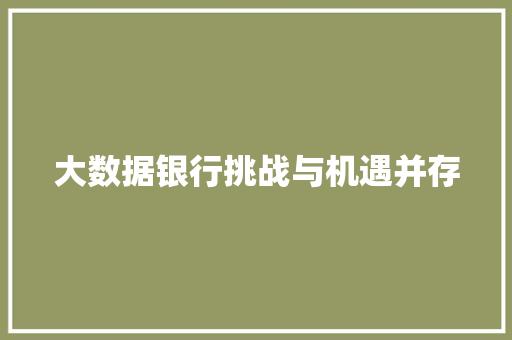 大数据银行挑战与机遇并存  第1张
