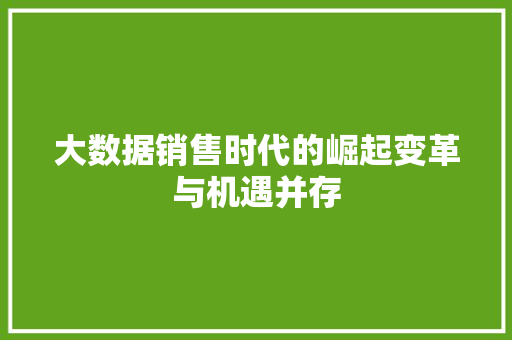 大数据销售时代的崛起变革与机遇并存  第1张
