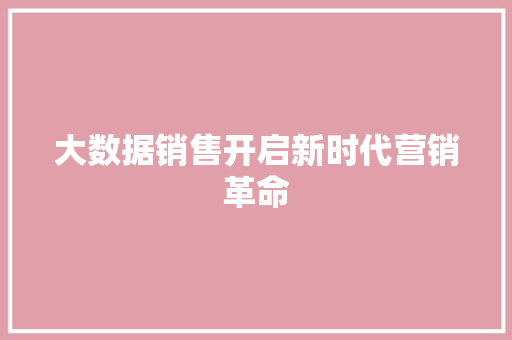 大数据销售开启新时代营销革命  第1张