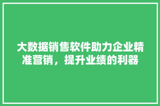 大数据销售软件助力企业精准营销，提升业绩的利器