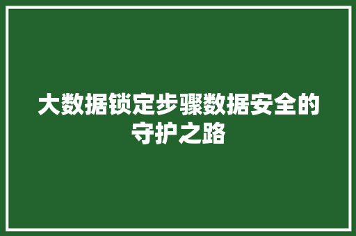 大数据锁定步骤数据安全的守护之路  第1张
