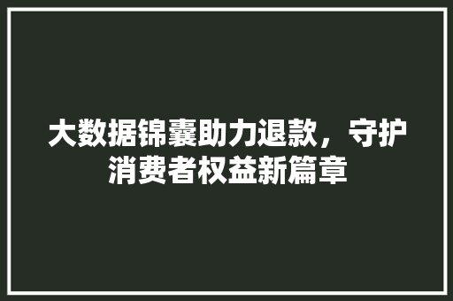 大数据锦囊助力退款，守护消费者权益新篇章