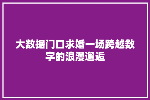 大数据门口求婚一场跨越数字的浪漫邂逅