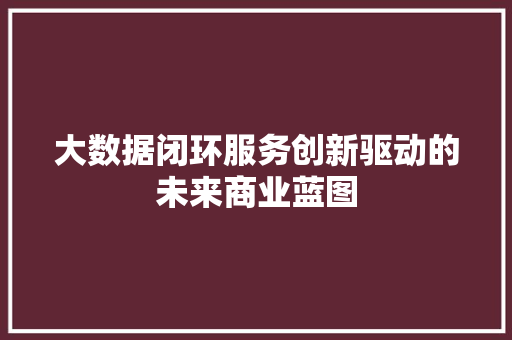 大数据闭环服务创新驱动的未来商业蓝图