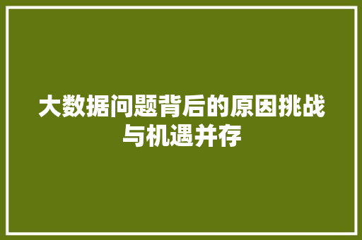 大数据问题背后的原因挑战与机遇并存