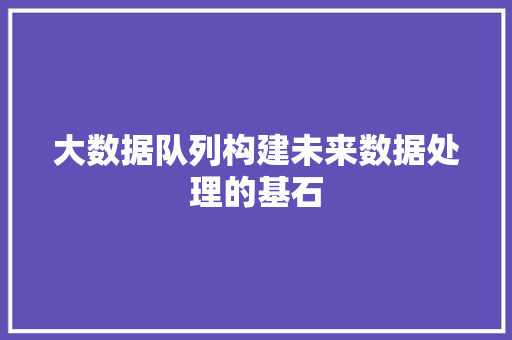 大数据队列构建未来数据处理的基石