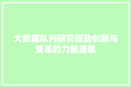 大数据队列研究驱动创新与变革的力量源泉