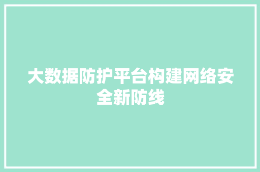 大数据防护平台构建网络安全新防线
