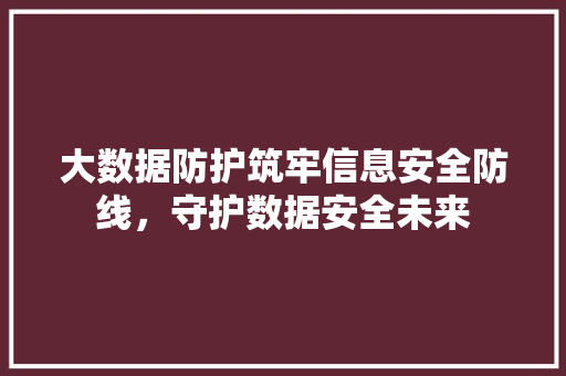 大数据防护筑牢信息安全防线，守护数据安全未来  第1张