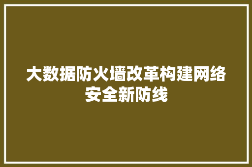 大数据防火墙改革构建网络安全新防线