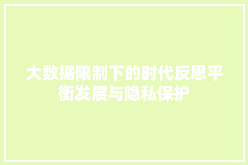 大数据限制下的时代反思平衡发展与隐私保护