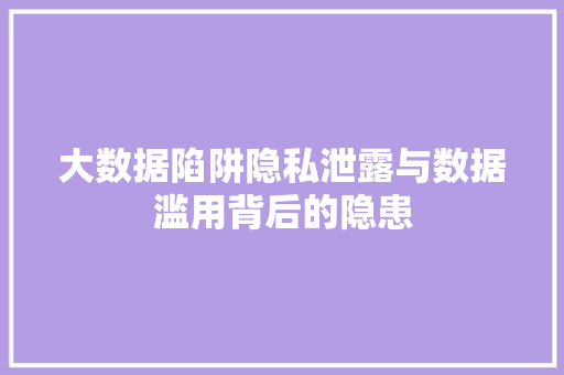 大数据陷阱隐私泄露与数据滥用背后的隐患