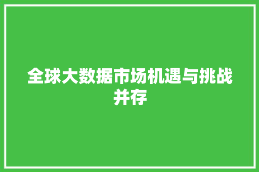 全球大数据市场机遇与挑战并存