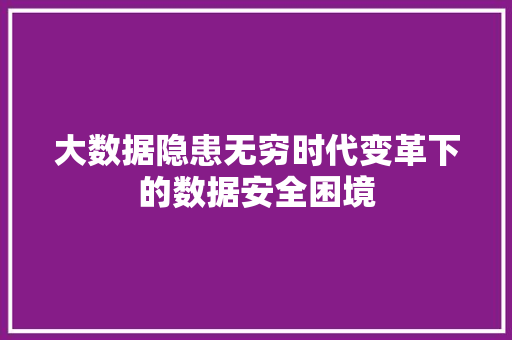 大数据隐患无穷时代变革下的数据安全困境  第1张
