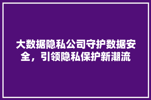 大数据隐私公司守护数据安全，引领隐私保护新潮流  第1张