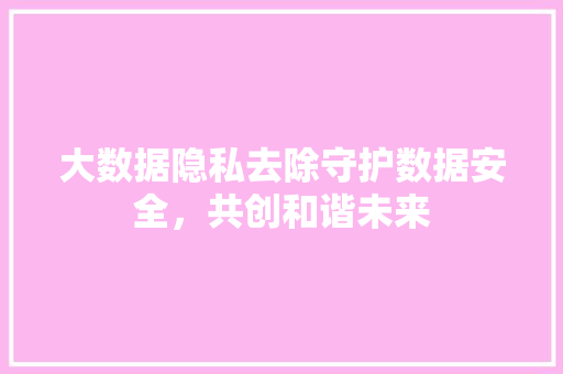 大数据隐私去除守护数据安全，共创和谐未来  第1张