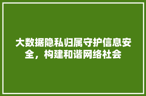 大数据隐私归属守护信息安全，构建和谐网络社会  第1张