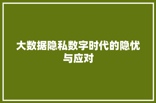 大数据隐私数字时代的隐忧与应对  第1张