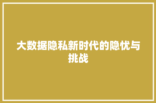 大数据隐私新时代的隐忧与挑战  第1张