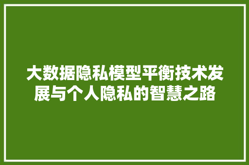 大数据隐私模型平衡技术发展与个人隐私的智慧之路  第1张