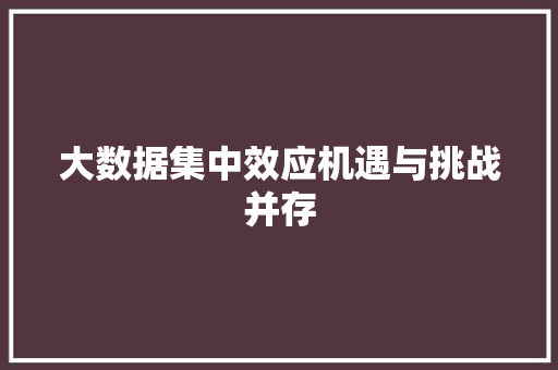 大数据集中效应机遇与挑战并存