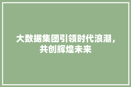 大数据集团引领时代浪潮，共创辉煌未来  第1张