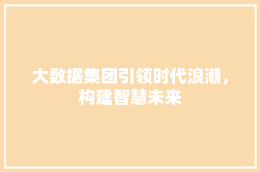大数据集团引领时代浪潮，构建智慧未来  第1张