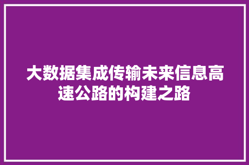 大数据集成传输未来信息高速公路的构建之路