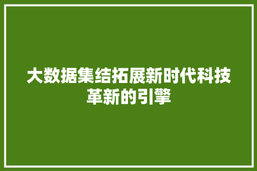 大数据集结拓展新时代科技革新的引擎