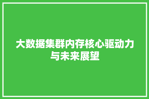 大数据集群内存核心驱动力与未来展望