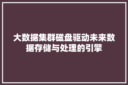 大数据集群磁盘驱动未来数据存储与处理的引擎