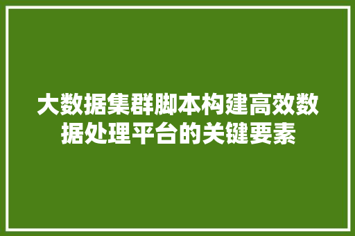 大数据集群脚本构建高效数据处理平台的关键要素