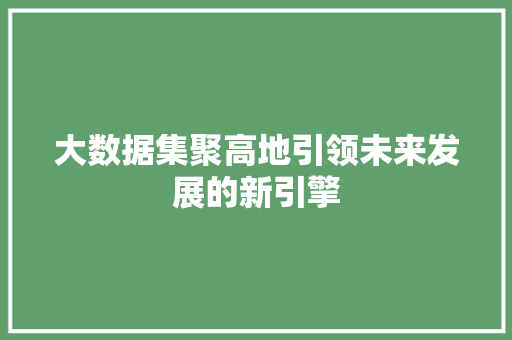 大数据集聚高地引领未来发展的新引擎