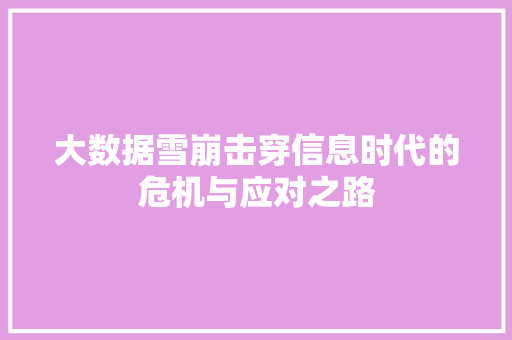 大数据雪崩击穿信息时代的危机与应对之路