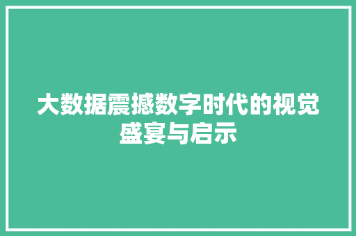 大数据震撼数字时代的视觉盛宴与启示  第1张