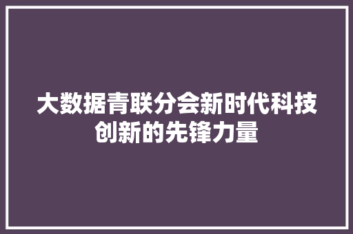 大数据青联分会新时代科技创新的先锋力量
