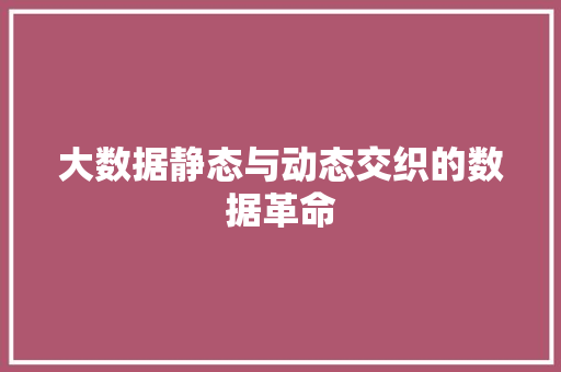 大数据静态与动态交织的数据革命