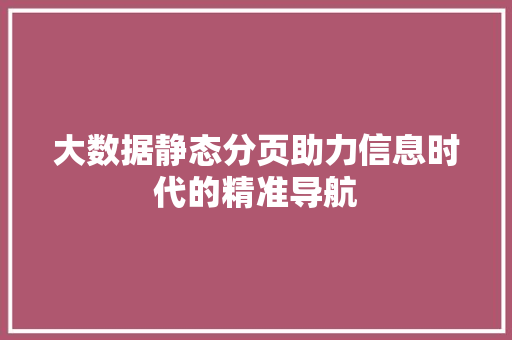 大数据静态分页助力信息时代的精准导航