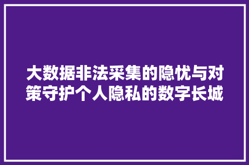 大数据非法采集的隐忧与对策守护个人隐私的数字长城  第1张