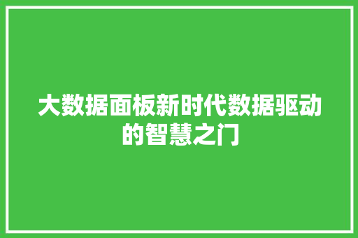 大数据面板新时代数据驱动的智慧之门