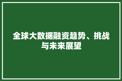 全球大数据融资趋势、挑战与未来展望  第1张
