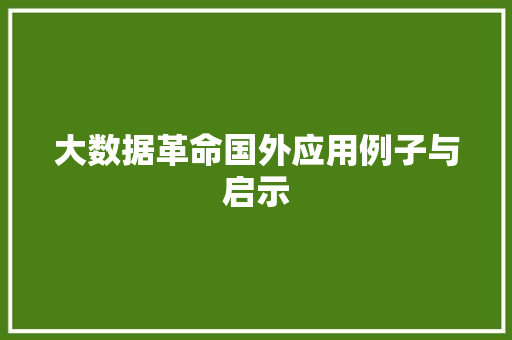 大数据革命国外应用例子与启示  第1张