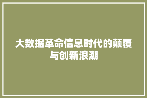 大数据革命信息时代的颠覆与创新浪潮