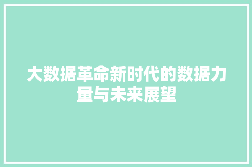大数据革命新时代的数据力量与未来展望