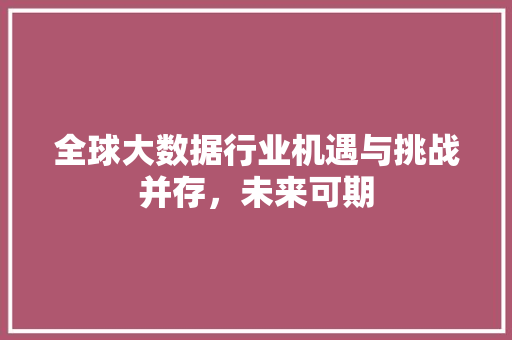 全球大数据行业机遇与挑战并存，未来可期  第1张