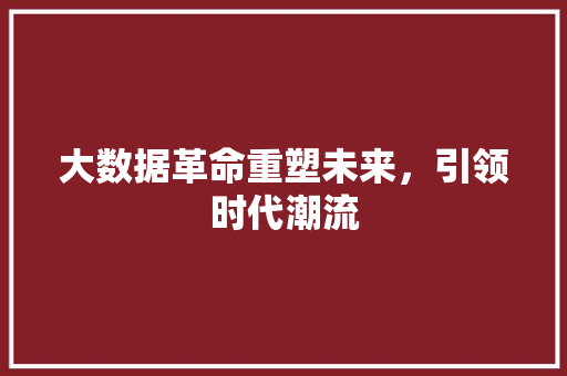 大数据革命重塑未来，引领时代潮流