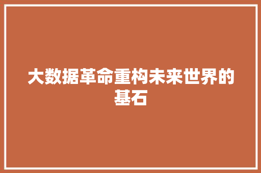 大数据革命重构未来世界的基石
