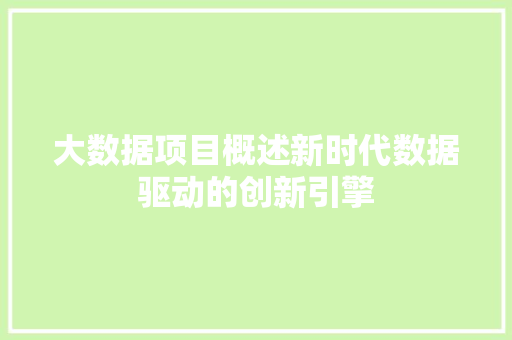 大数据项目概述新时代数据驱动的创新引擎  第1张