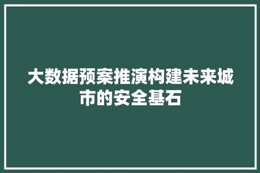 大数据预案推演构建未来城市的安全基石