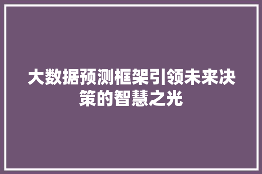 大数据预测框架引领未来决策的智慧之光